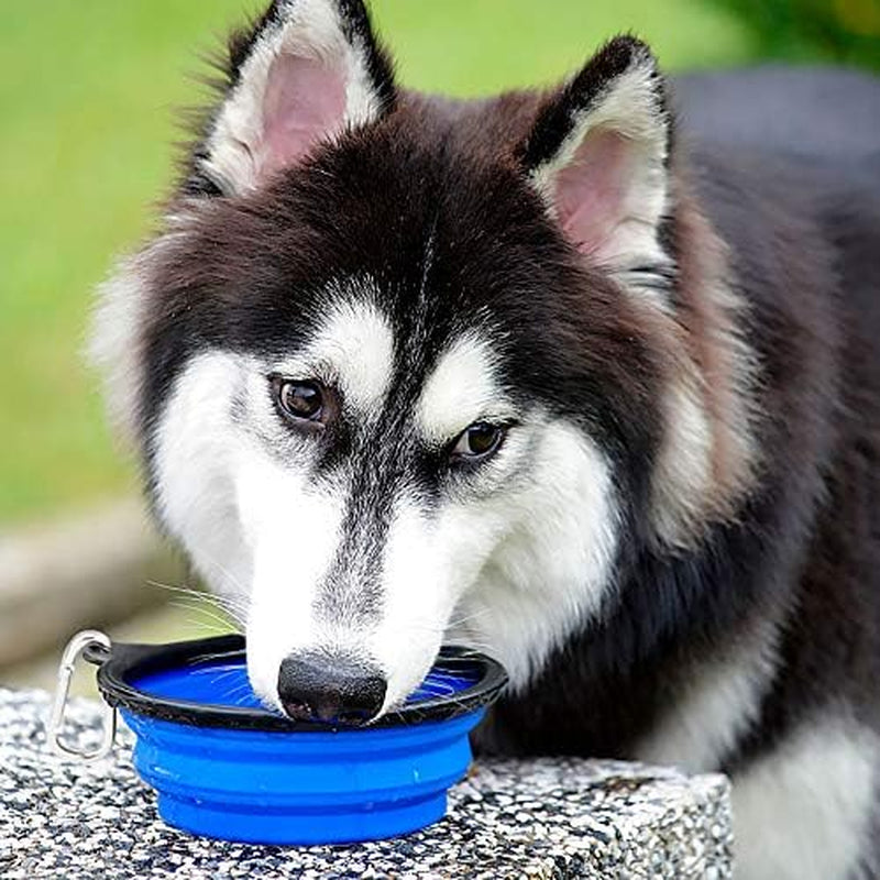 Plato Plegable para Mascotas – Portátil, Práctico y Resistente