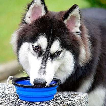 Plato Plegable para Mascotas – Portátil, Práctico y Resistente
