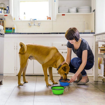 Plato Plegable para Mascotas – Portátil, Práctico y Resistente