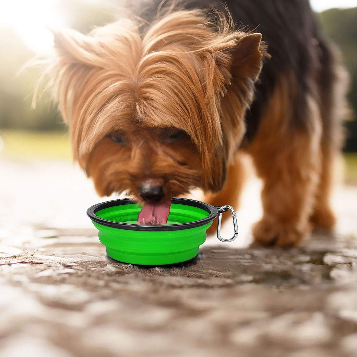 Plato Plegable para Mascotas – Portátil, Práctico y Resistente